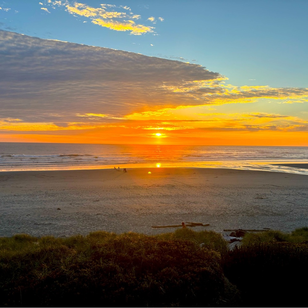 Meet your Posher, Carly